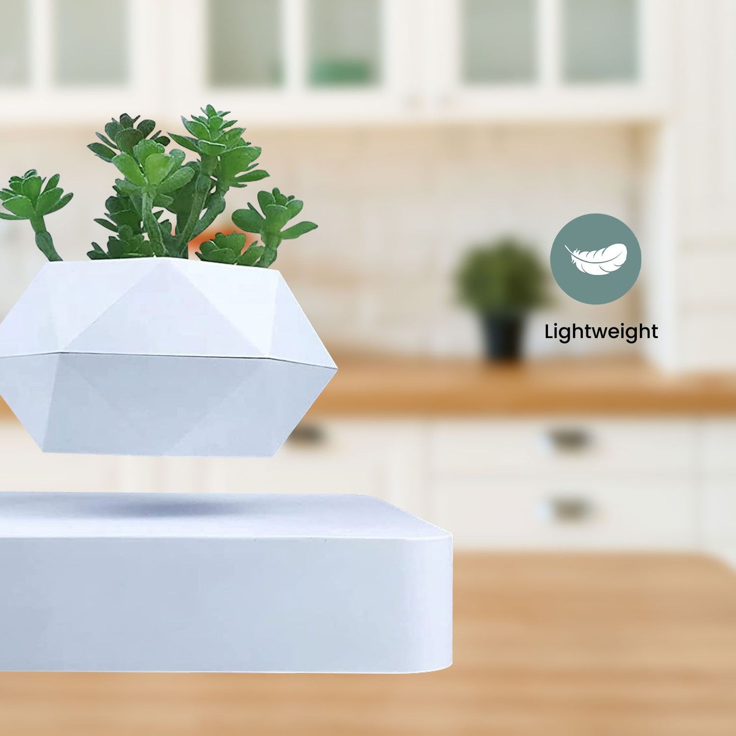 GOMINIMO Magnetic Levitating Plant Pot White GO-MLP-105-HCNT - DecorHouse.com.au