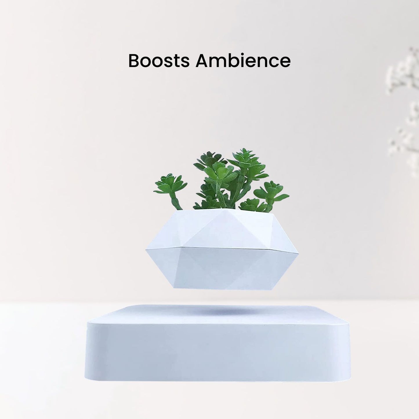 GOMINIMO Magnetic Levitating Plant Pot White GO-MLP-105-HCNT - DecorHouse.com.au
