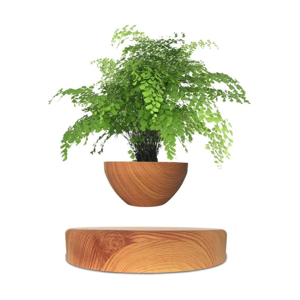 GOMINIMO Magnetic Levitating Plant Pot Oak GO-MLP-108-HCNT - DecorHouse.com.au