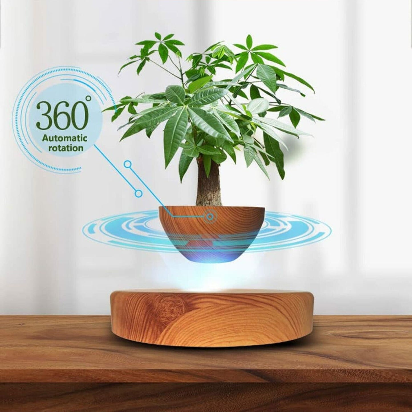 GOMINIMO Magnetic Levitating Plant Pot Oak GO-MLP-108-HCNT - DecorHouse.com.au