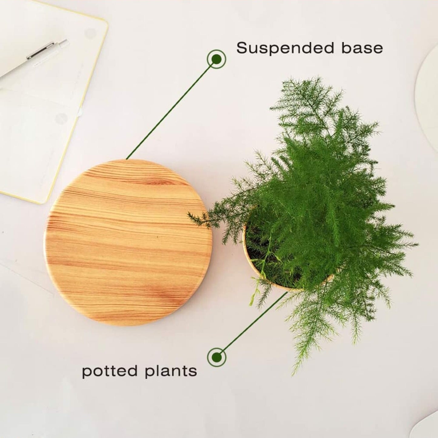 GOMINIMO Magnetic Levitating Plant Pot Oak GO-MLP-108-HCNT - DecorHouse.com.au