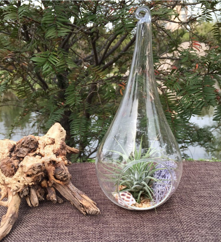 4 Pack of Hanging Clear Glass Tealight Candle Holder Tear Drop Pear Hour Glass Shape - 20cm High Terrarium Plant Mini Garden Holder D�cor Craft Gift - DecorHouse.com.au