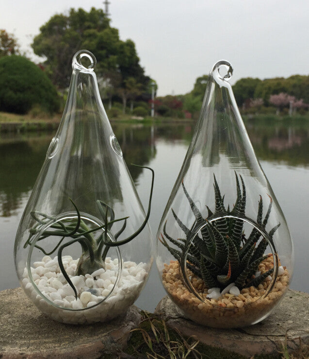 4 Pack of Hanging Clear Glass Tealight Candle Holder Tear Drop Pear Hour Glass Shape - 20cm High Terrarium Plant Mini Garden Holder D�cor Craft Gift - DecorHouse.com.au