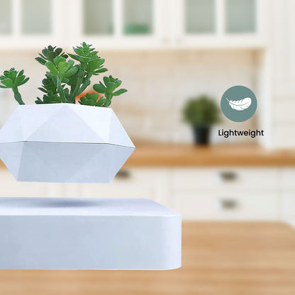 GOMINIMO Magnetic Levitating Plant Pot White GO-MLP-105-HCNT - DecorHouse.com.au
