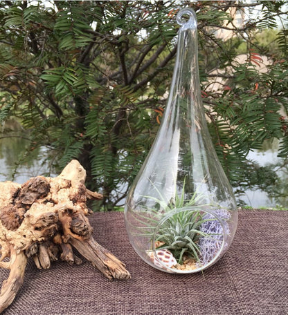 4 Pack of Hanging Clear Glass Tealight Candle Holder Tear Drop Pear Hour Glass Shape - 20cm High Terrarium Plant Mini Garden Holder D�cor Craft Gift - DecorHouse.com.au